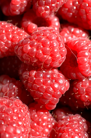 A beautiful fresh ripe red berries of raspberries close-up