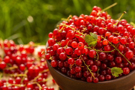 Red currant berries close-up on a table in the garden