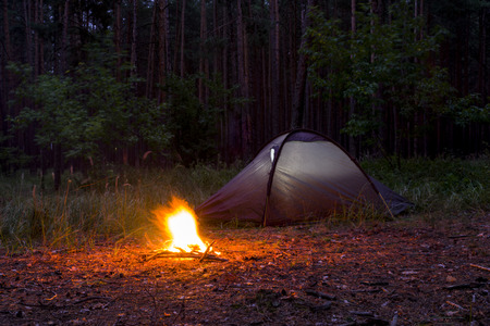 Tents in a pine forest in the evening twilight near the fireの写真素材