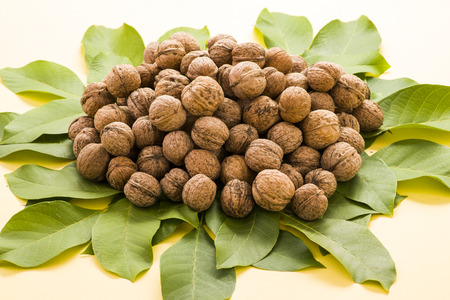 ripe nuts with leaves on a yellow background, close-up, shot in studio