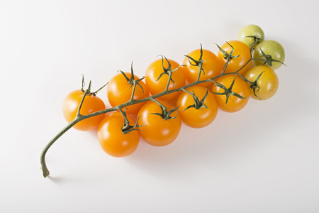 bunch of yellow tomatoes on a sprig, shot on a white backgroundの写真素材