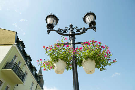 street lights with flowers on a sunny summer dayの写真素材