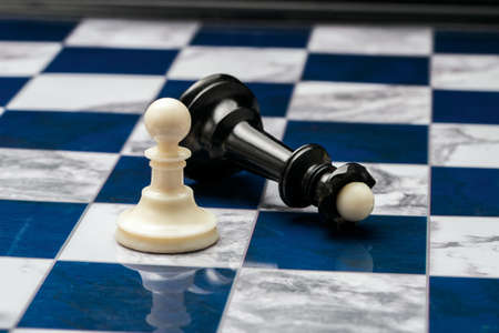 chess pieces on the open fieldの写真素材
