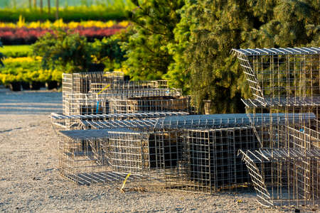 metal mesh for creating flower beds and traditions of dense form for the growth of flowers in landscape designの写真素材