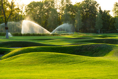 lawns and bushes along the path in landscape designの写真素材