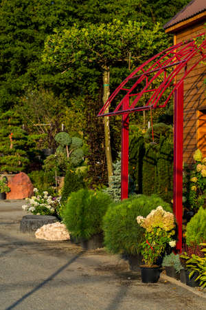 round bushes and trimmed selection shrubs with flowers for landscapingの写真素材