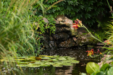 artificial reservoir with fresh water among shrubs in landscape designの写真素材