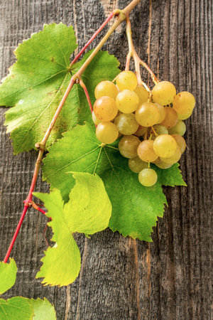 a bunch of grapes home on a wooden tableの写真素材