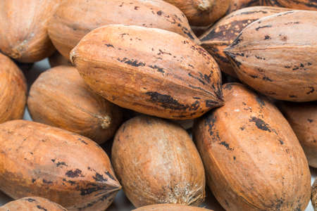 Pecan peeled nuts close up. Confectionery Ingredients