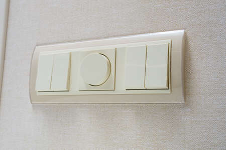 Switches with dimmers in the collection of wall