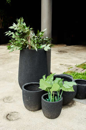 outdoor flowers in tubs for flowers in the courtyard of the house on the terraceの写真素材