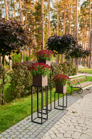 outdoor flowers on stands with wooden seats with metal railings in a landscape park for recreation nearbyの写真素材