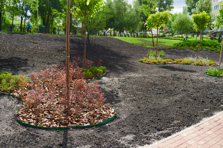 Urban landscaping with plants in landscape design, stone paths among greenery, a park for guests and residents on a sunny summer dayの写真素材