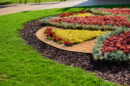 Flowerbed with flowers in the urban landscape park for recreation and walks, flowering on a warm summer dayの写真素材