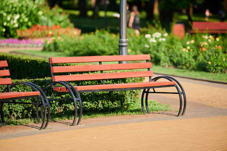 Outdoor seating in a wooden outdoor park, an element of architecture in landscape designの写真素材
