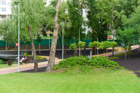 Urban landscaping with perennials in a landscape park for residents on a sunny summer dayの写真素材