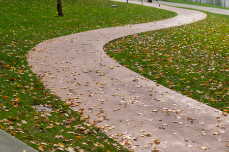 walking path in the park strewn with autumn yellow leavesの写真素材