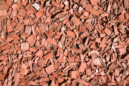 colored oak bark for landscaping, shot close up, in a landscape of an urban environmentの写真素材