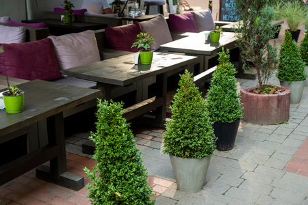 Flowers in pots and tubs in public places, as an element of design and decoration of architecture, shot close-upの写真素材
