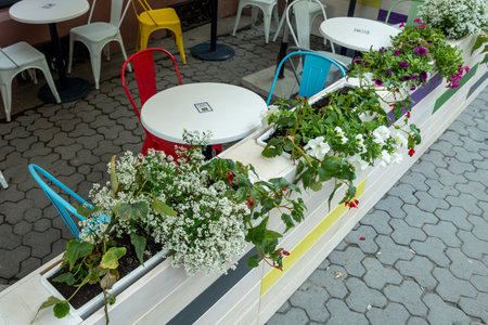 Flowers in pots and tubs in public places, as an element of design and decoration of architecture, shot close-upの写真素材