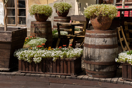 Flowers in pots and tubs in public places, as an element of design and decoration of architecture, shot close-upの写真素材