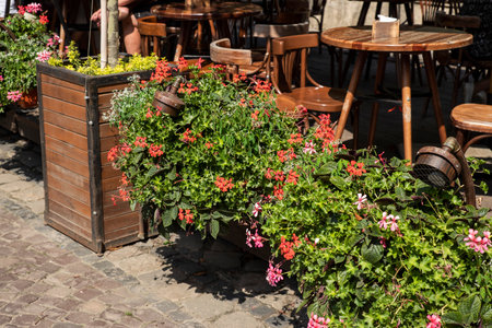 Flowers in pots and tubs in public places, as an element of design and decoration of architecture, shot close-upの写真素材
