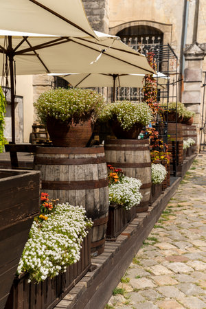 Flowers in pots and tubs in public places, as an element of design and decoration of architecture, shot close-upの写真素材