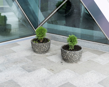 Street flowers in stone tubs, decoration with plants in parks with squares of the urban environmentの写真素材
