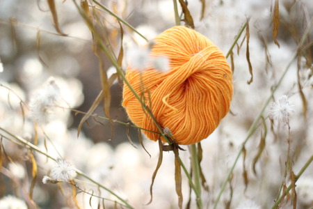 Skein of yarn in the dry fluffy grass
