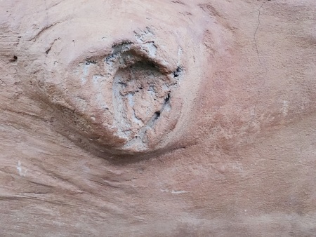 sand mortar cement textureの写真素材