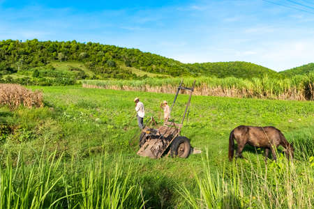 Two old farmers work in their fields in the province of Villa Clara Cuba - Cuba Reportage seriesのeditorial素材