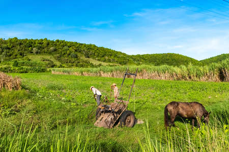 Two old farmers work in their fields in the province of Villa Clara Cuba - Cuba Reportage seriesのeditorial素材