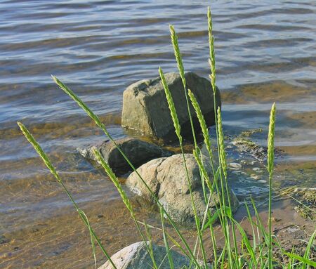 Stones on the bank of the White Seaの写真素材