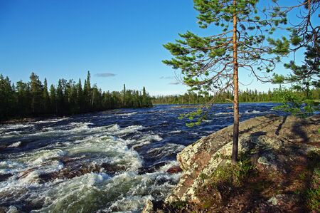 The rapids on the river Umba, Kola Peninsula, Russia の写真素材