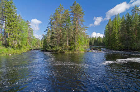 A small island in the river Shuya, Karelia, Russia. Sunny summer day.の写真素材