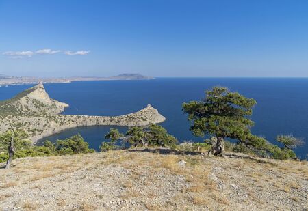 Seascape with relict juniper trees. Crimea, September.