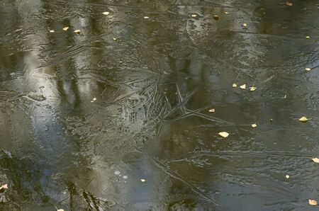 Thin ice on a pond. End of October.の写真素材