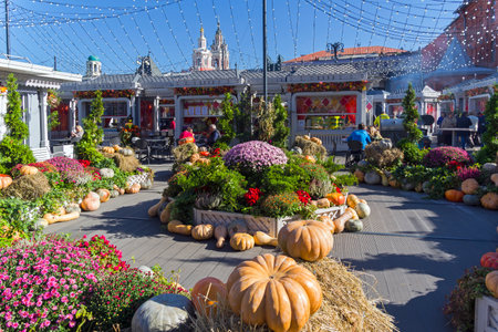 MOSCOW, RUSSIA - SEPTEMBER 22, 2017: Decoration of the space allocated for street trade with ripe pumpkins and autumn flowers. Festivalのeditorial素材