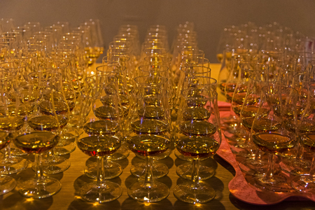 Tasting cognacs. Rows of glasses shaped "tulip".の写真素材