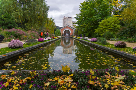 MOSCOW, RUSSIA - OCTOBER 7, 2017: Yellow fallen leaves on the flower beds and on the surface of the pond. Aptekarsky garden (a branch of the Botanical Garden of Moscow State University), Moscow, Russia. Cloudy day in October.のeditorial素材