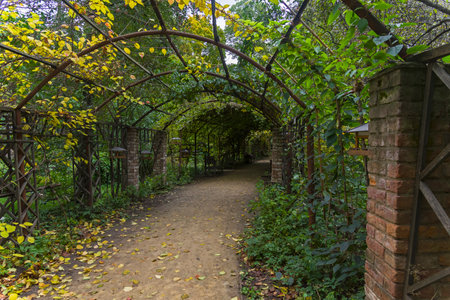 MOSCOW, RUSSIA - OCTOBER 7, 2017: Pergola in the park. October. Moscow, Aptekarsky Ogorod (a branch of the Botanical Garden of Moscow State University).のeditorial素材