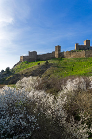 Genoese fortress in Sudak, Crimea. View of the fortress walls and towers from the flowering orchard. Early April.のeditorial素材