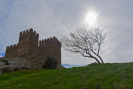 Genoese fortress in Sudak, Crimea. Consular castle and a lonely tree against a cloudy sky. Early April.のeditorial素材