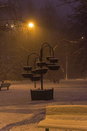 Late foggy winter evening in a residential area of Moscow, Rissia.の写真素材