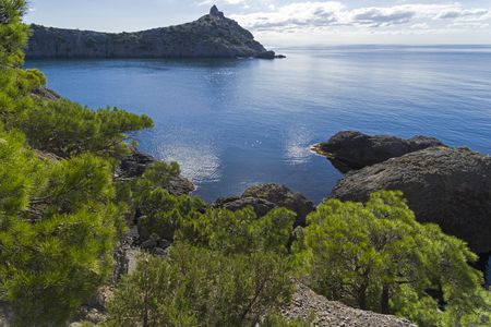 A stony seashore overgrown with pines and juniper on a quiet sunny morning. Novyy Svet, Crimea, September.の写真素材
