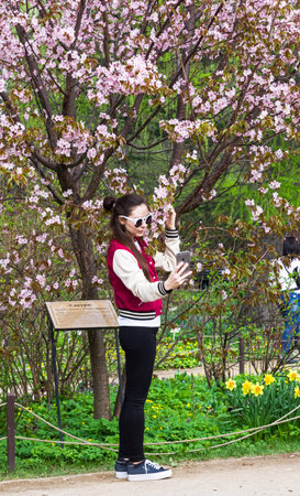 Moscow, Russia - May 1, 2018: A girl makes a selfie on the background of cherry blossoms.  May, botanical garden in Moscow, Russia.のeditorial素材