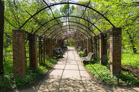 Moscow, Russia - May 25, 2018: Pergola in the park. Sunny day in May. Moscow, Aptekarsky Ogorod (a branch of the Botanical Garden of Moscow State University).のeditorial素材