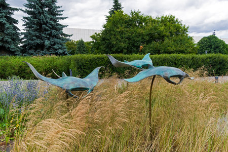 Moscow, Russia - July 6, 2018: Manta rays - garden sculpture at Moscow Flower Show.のeditorial素材