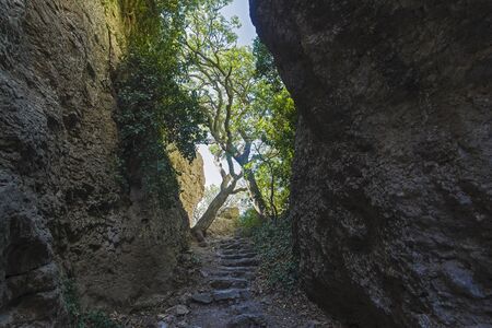Crimea. View of a narrow gorge. It is believed that the stairs in this gorge is made by the ancient...