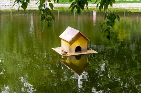 Duck house on the surface of the pond.の写真素材